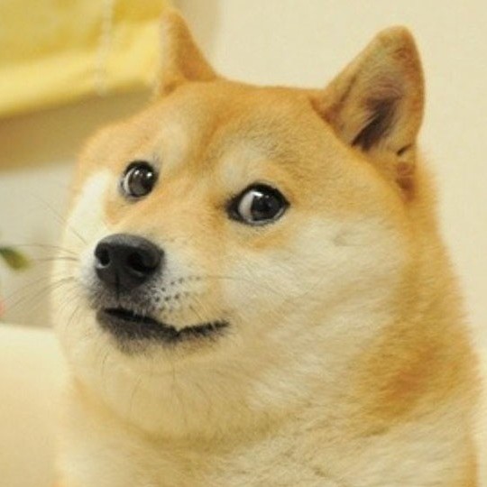 Such Run
